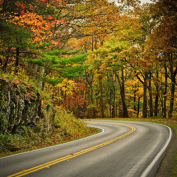 istock Autumn S-Curved Road 164924280