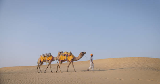 istock Indian man with camels on sand dunes, Rajasthan, India 1649254208