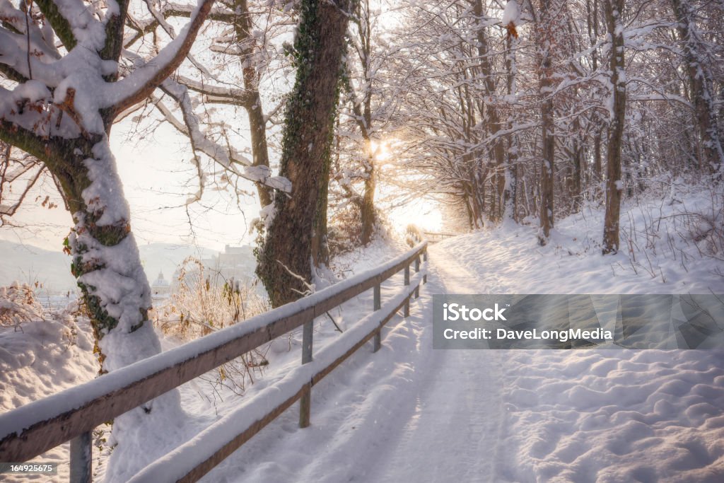 Passeggiata mattutina sulla neve - Foto stock royalty-free di Inverno