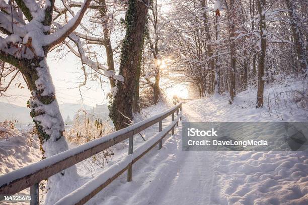 Passeggiata Mattutina Sulla Neve - Fotografie stock e altre immagini di Inverno - Inverno, Sentiero, Neve