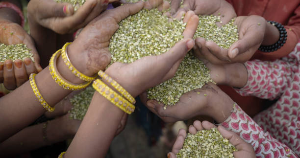 istock Poor Indian children asking for food, India 1649257975