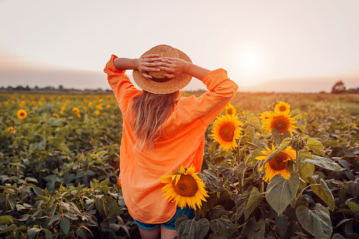 Back view portrait of stylish woman wearing straw hat in sunflower field at sunset admiring view. Linen natural clothes and accessories