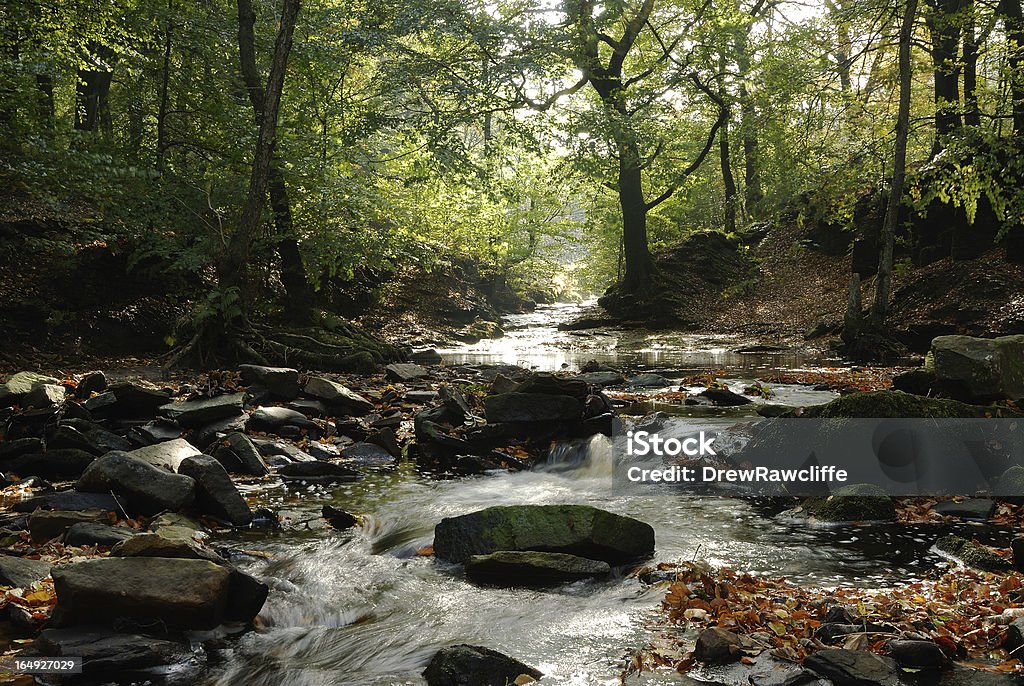 Automne Stream - Photo de Angleterre libre de droits