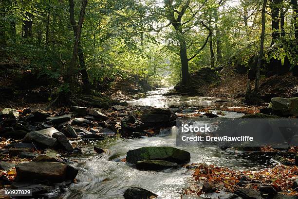 Осенний Stream — стоковые фотографии и другие картинки Англия - Англия, Берег реки, Вода