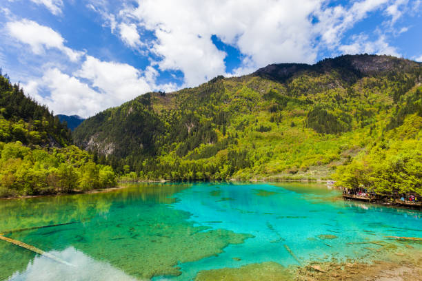 cinco flores lago en jiuzhaigou, sichuan, china - jiuzhaigou national park jiuzhaigou national park unesco world heritage site fotografías e imágenes de stock