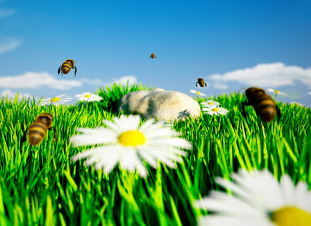 istock Honey bees entering the meadow 164927393