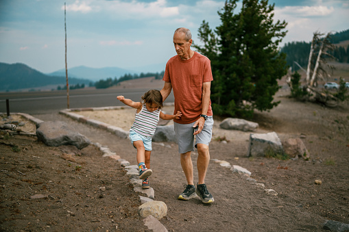 A vibrant and healthy senior man walks alongside his three year old Eurasian granddaughter and helps her balance on a row of rocks while on a nature hike.