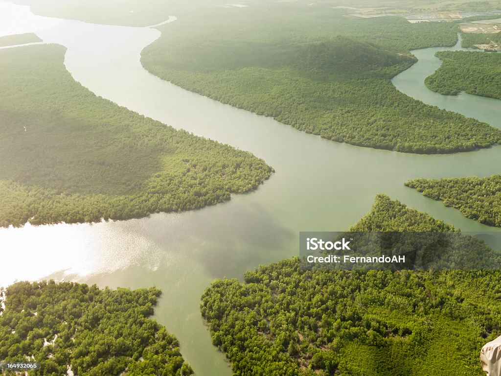 Panama ´ s Regenwald - Lizenzfrei Panama Stock-Foto