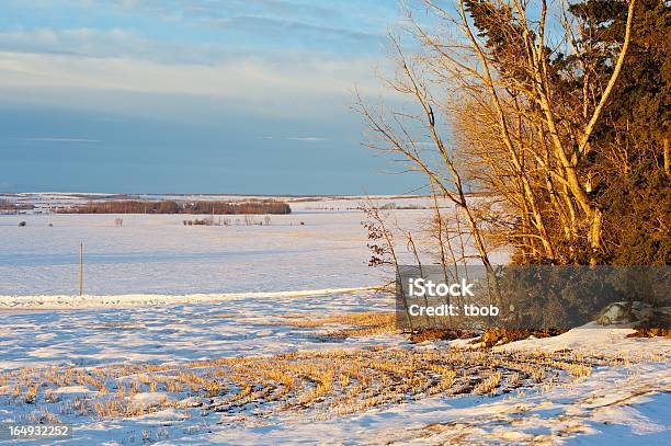 Dawn Über Schneebedeckte Felder Und Farmen Stockfoto und mehr Bilder von Agrarbetrieb - Agrarbetrieb, Baum, Britisch-Kolumbien