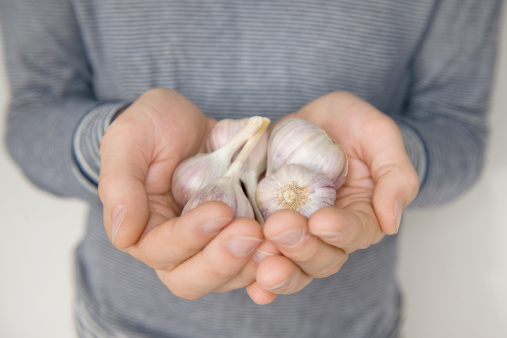 Holding garlic in palms.