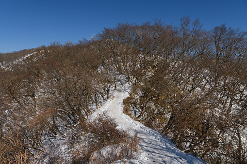 Mount Tonodake is the most popular mountain in Tanzawa Mountains. On sunny days off, many climbers rest and have lunch at the summit.