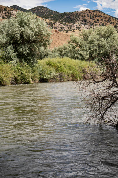 istock River In Creede, Colorado 1649364534