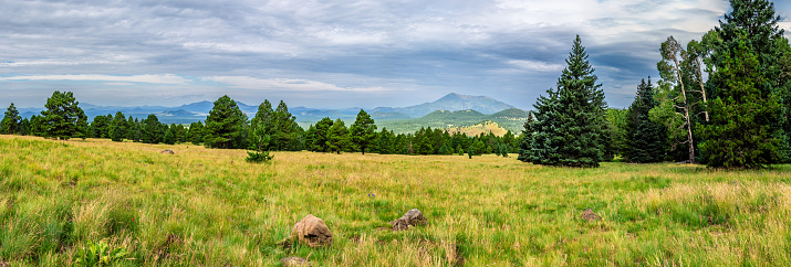 Idyllic summer landscape in Rocky Mountain National Park, colorado, with green mountain pastures and mountain range in the background.