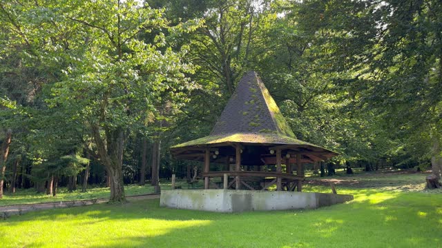A wooden house in the shape of a hat in the forest