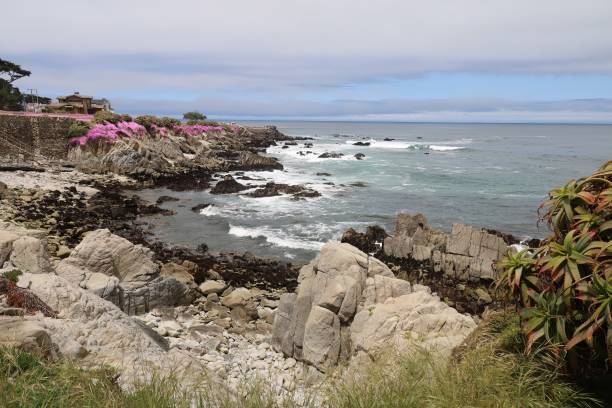 istock Lovers Point in Monterey California 1649412638