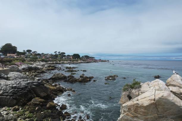 istock Lovers Point in Monterey California 1649413179