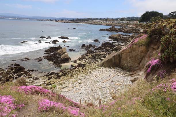 istock Lovers Point in Monterey California 1649414218