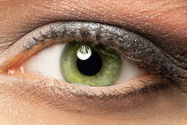 緑色の目の - female04 ストックフォトと画像