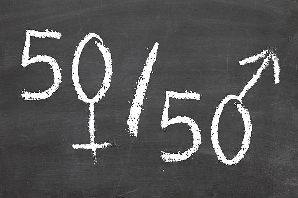 istock Chalkboard representation of gender equality 164941920