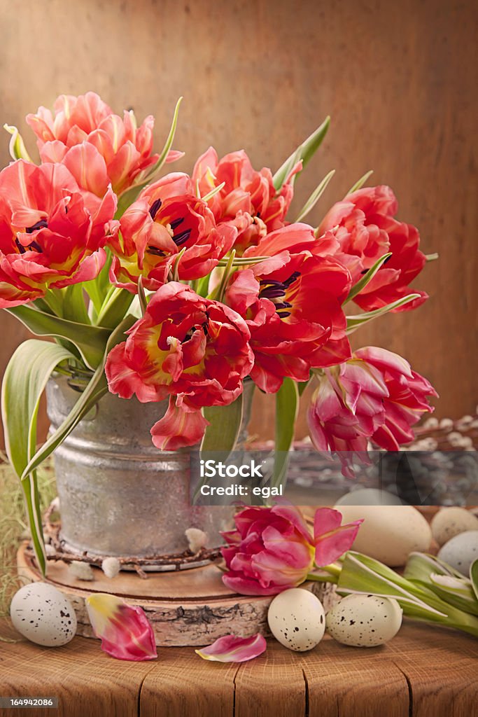 チューリップの花とイースター卵 - お祝いのロイヤリティフリーストックフォ�ト