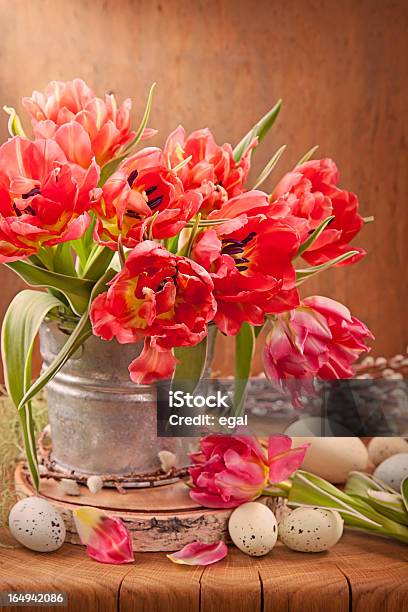 チューリップの花とイースター卵 - お祝いのストックフォトや画像を多数ご用意 - お祝い, まぶしい, イースター
