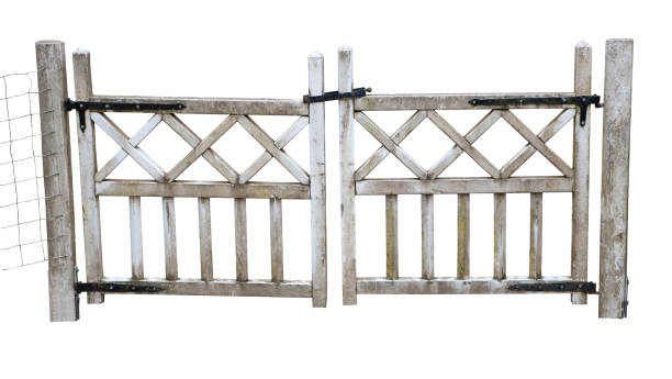 istock Old wooden gate painted in dirty flaking white paint 1649491497
