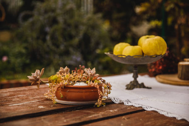 istock Abundant succulent plant serving as a decoration on a table in the back yard 1649520653