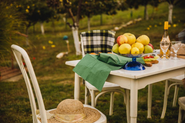 istock A table in the back yard set up for a relaxing afternoon snack or dinner, decorated with a fruit bowl 1649521043