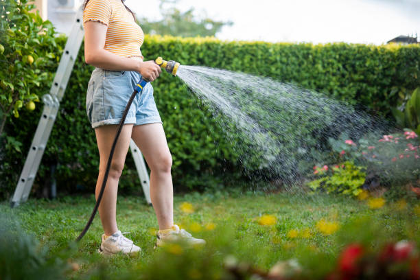 istock Woman using a hose to water the lawn. 1649529189