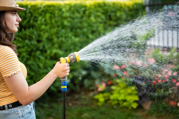istock Woman using a hose to water the lawn. 1649529197