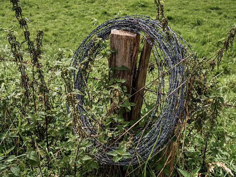Fence with a roll of barbed wire on top at an international border