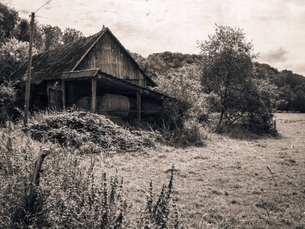 Toned black and white image of a summer landscape showing a meadow and a wooden barn with hay stacks in the Bergisches Land region of Germany