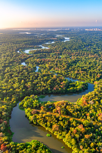 The Armand Bayou snaking its way through a forested area toward Clear Lake in the suburban community of Pasadena, Texas, located just south of Houston.