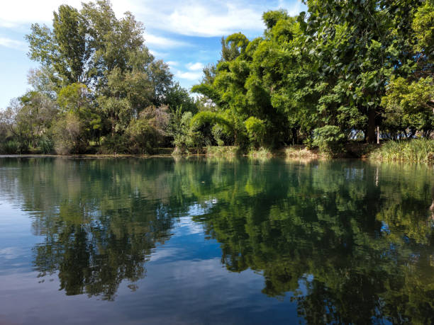 istock Lake with reflection of trees in water 1649557805