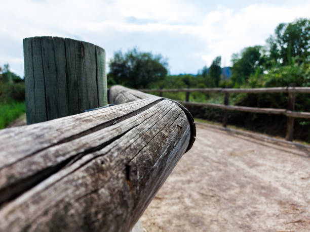 A path in the park with a wooden railing. Wooden circular beam. Plenty of space to add text.