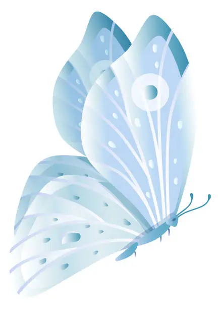 Vector illustration of Blue winged moth. Romantic butterfly. Flying insect