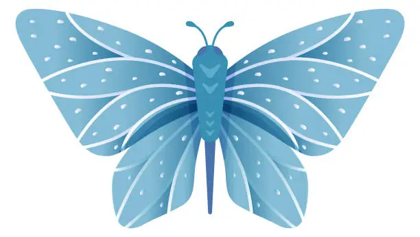 Vector illustration of Fragile blue butterfly with patterned wings. Exotic moth
