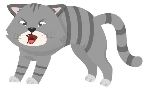 Vector illustration of Hissing cat. Cartoon angry or scared gray animal isolated on white