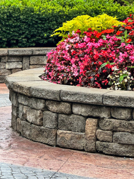 istock Large circular stone planter with colorful flowers in summer 1649615362