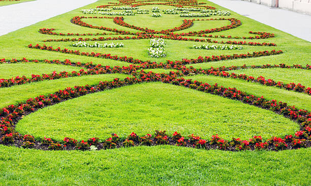 jardim de flor - salzburg arrangement azalea blooming imagens e fotografias de stock