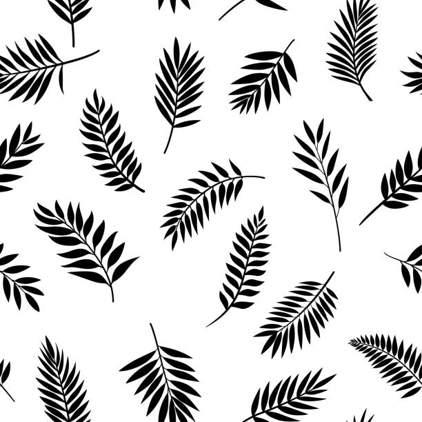 illustrations, cliparts, dessins animés et icônes de motif sans couture vectoriel noir et blanc avec feuilles de palmier tropicaux. feuillage exotique tropical, brin avec feuilles, brindilles d’arbres. impression décorative sans couture de feuilles tropicales - palm tree leaf tree frond