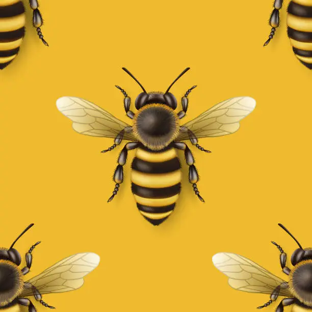 Vector illustration of Vector Seamless Pattern with 3d Realistic Detailed Honey Bee Icon Closeup on Yellow Background. Queen Honeybee Design Template, Vector Illustration of Bee in Macro, Top View