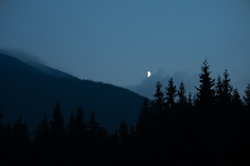Moon in the mountains landscape with coniferous trees outdoor nature