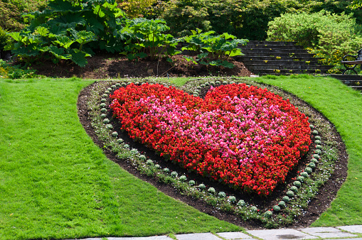 Heart shaped flower bed in ornamental garden.