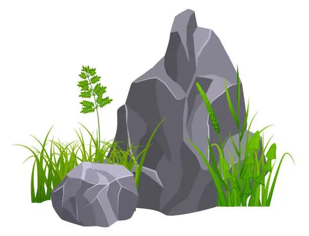 Vector illustration of Growing grass and stone boulder. Natural rock on ground