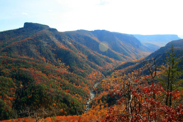 istock Blue Ridge Mountains, North Carolina 1649666639
