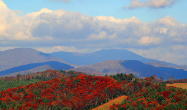 istock Blue Ridge Mountains, North Carolina 1649666702