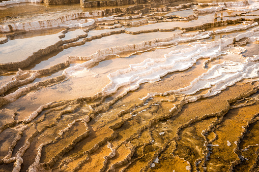 Terraces of Mammoth hot spring made by calcium carbonate from hot water, Yellowstone National Park, Wyoming, USA.