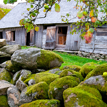 Old barn. Stone wall with moss
