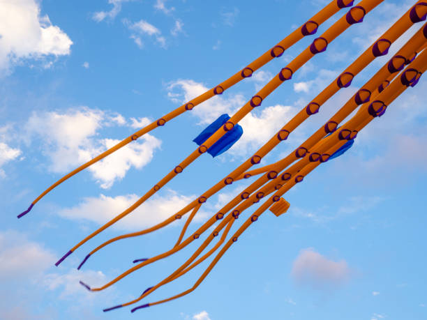 istock Kite Festival. Kites in the sky. A spectacle . Wind is like a force. air objects. Various forms. A beautiful sight.  Aerodynamics. Object in the sky. 1649718422